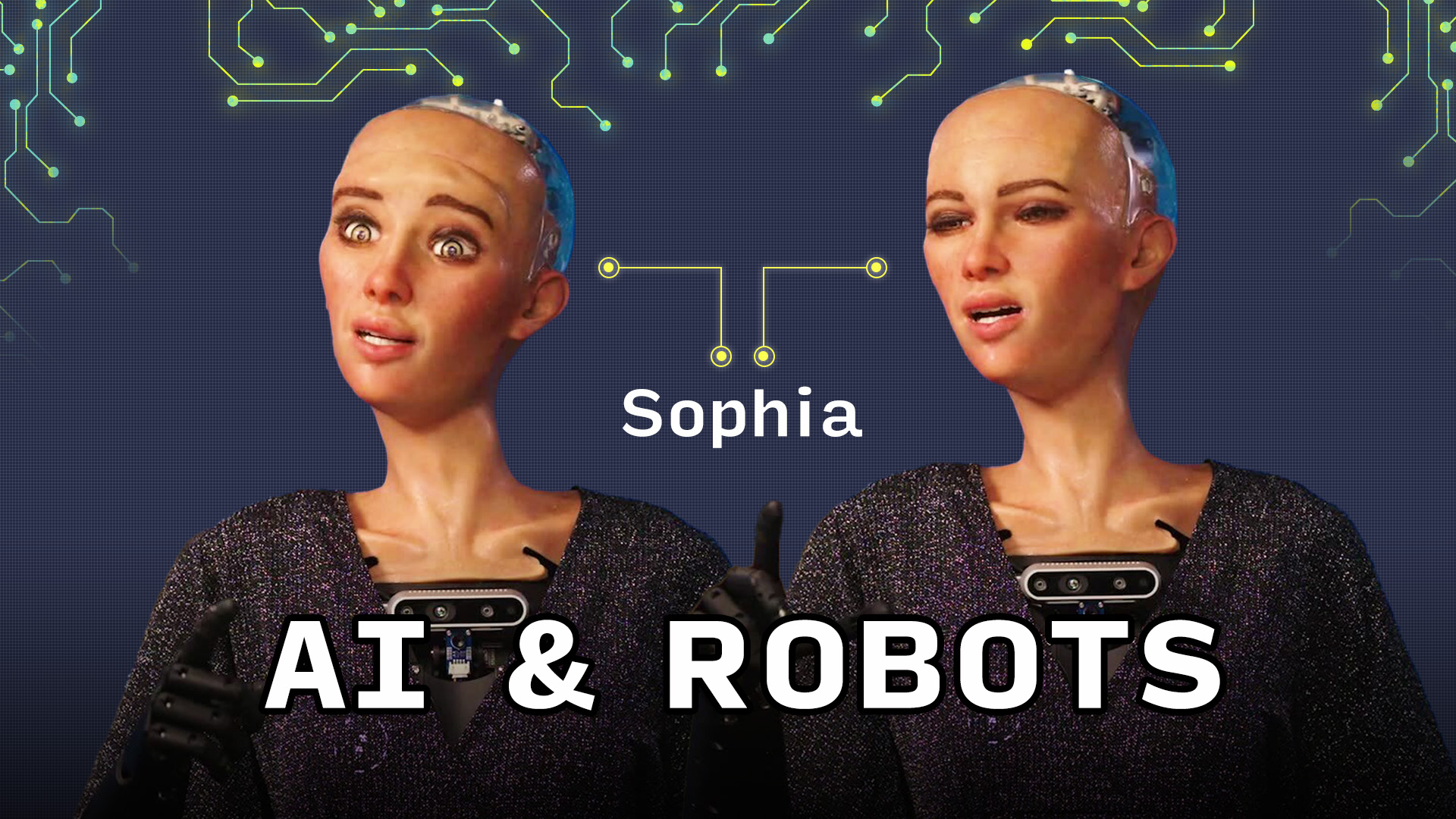 Sophia The Robot